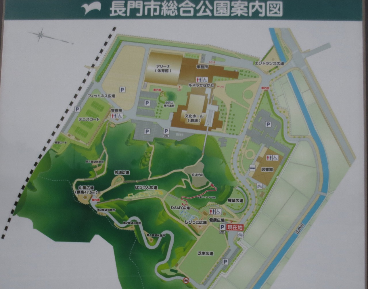 長門市仙崎 冬休みの長門市総合公園 山口県 長門市 今が旬