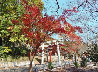 長門豊川稲荷鳥居2.jpg