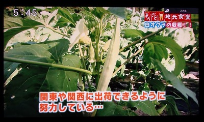 関東や関西への出荷計画.jpg