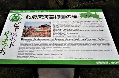 防府天満宮梅園説明.jpg