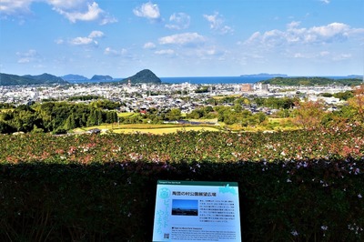 陶芸の村公園展望広場からの眺望.jpg