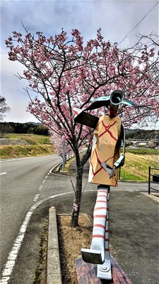 陽光桜1.jpg