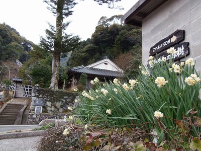 隠居所と白水仙.jpg