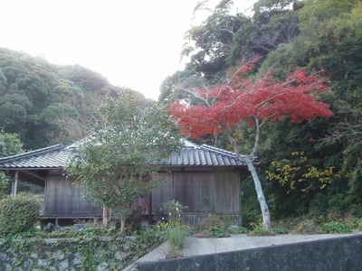 隠居所の紅葉2.jpg