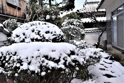 雪化粧4.jpg