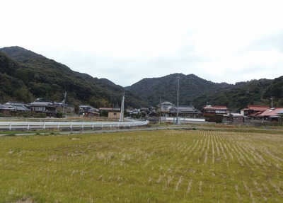 青海地区.jpg