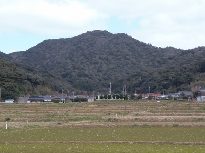 青海地区1.jpg