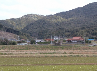 青海地区2.jpg