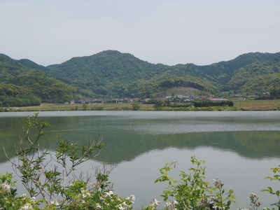 青海地区と青海湖.jpg
