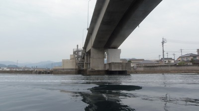 青海大橋.jpg