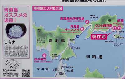 青海島1.jpg