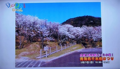 青海島さくらの里.jpg