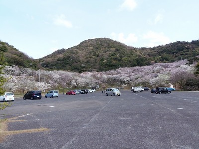 青海島さくらの里・駐車場.jpg