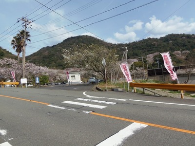 青海島さくらの里入口.jpg