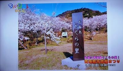 青海島さくらの里碑.jpg
