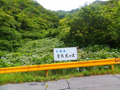 青海島・紫陽花の沢1.jpg