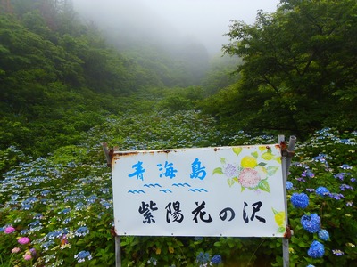 青海島・紫陽花の沢1.jpg