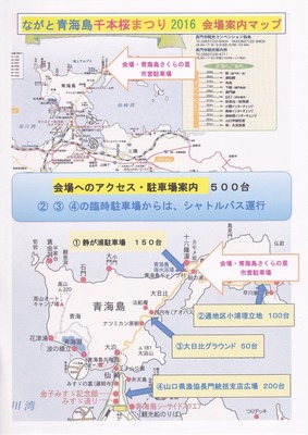 青海島千本桜まつり2.jpg