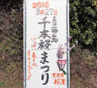 青海島千本桜まつり案内版.jpg
