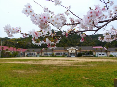 青海島小学校1.jpg