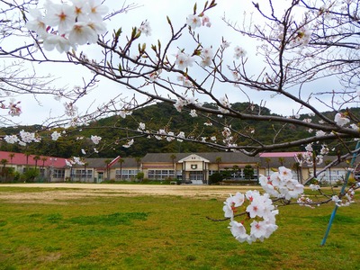 青海島小学校2.jpg