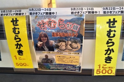 青海島岩がき「せむらかき」1.jpg