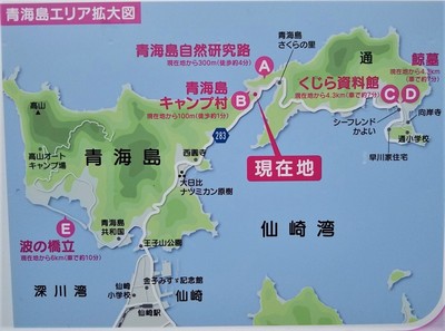 青海島案内図.jpg