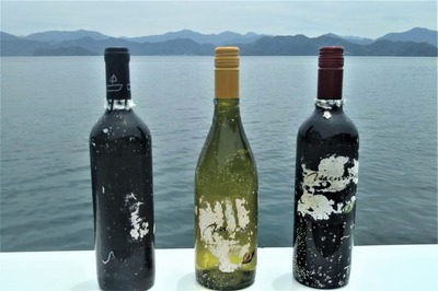 青海島海底ワイン2.jpg