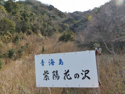 青海島紫陽花の沢.jpg