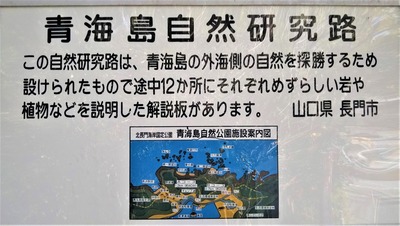 青海島自然研究路1.jpg