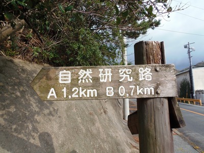 青海島自然研究路の道標.jpg