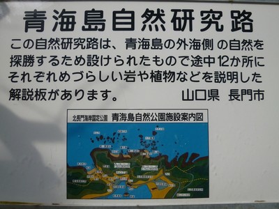 青海島自然研究路案内.jpg