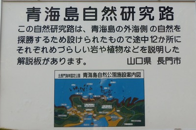 青海島自然研究路案内板2.jpg