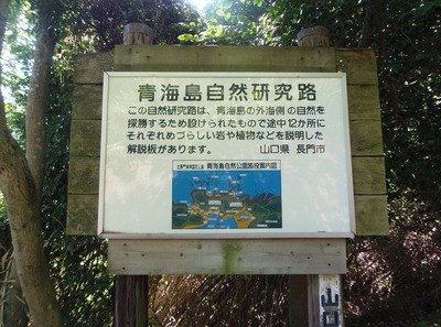 青海島自然研究路説明1.jpg