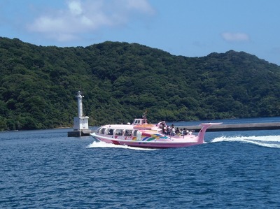 青海島観光船・ピンクシータス3.jpg