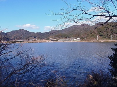 青海湖.jpg