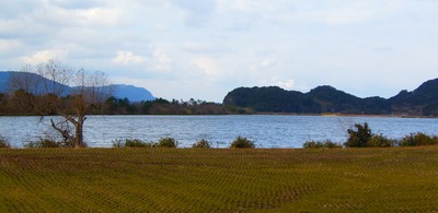 青海湖.jpg