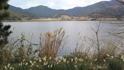 青海湖.JPG