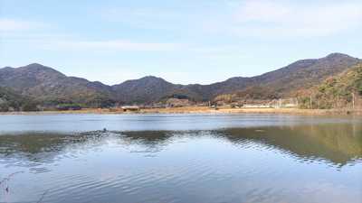 青海湖3.jpg