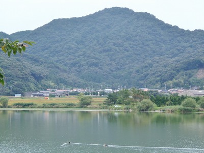 青海湖と青海地区2.jpg