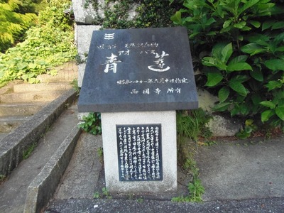 青蓮説明碑1.jpg