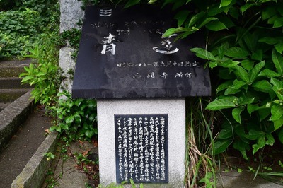 青蓮説明碑1.jpg