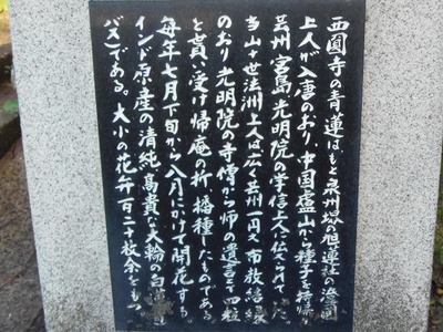 青蓮説明碑2.jpg