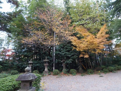 飯山八幡宮の秋色.jpg