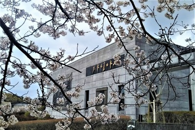 香月泰男美術館の満開の桜3.jpg