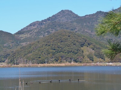 高山と青海湖.jpg
