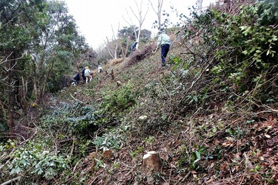高山オートキャンプ場南部抜き伐り7.jpg