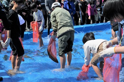 魚つかみ取り4.jpg