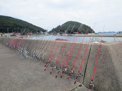 魚釣りの竿.jpg