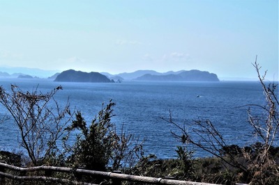 鯖島と青海島.jpg